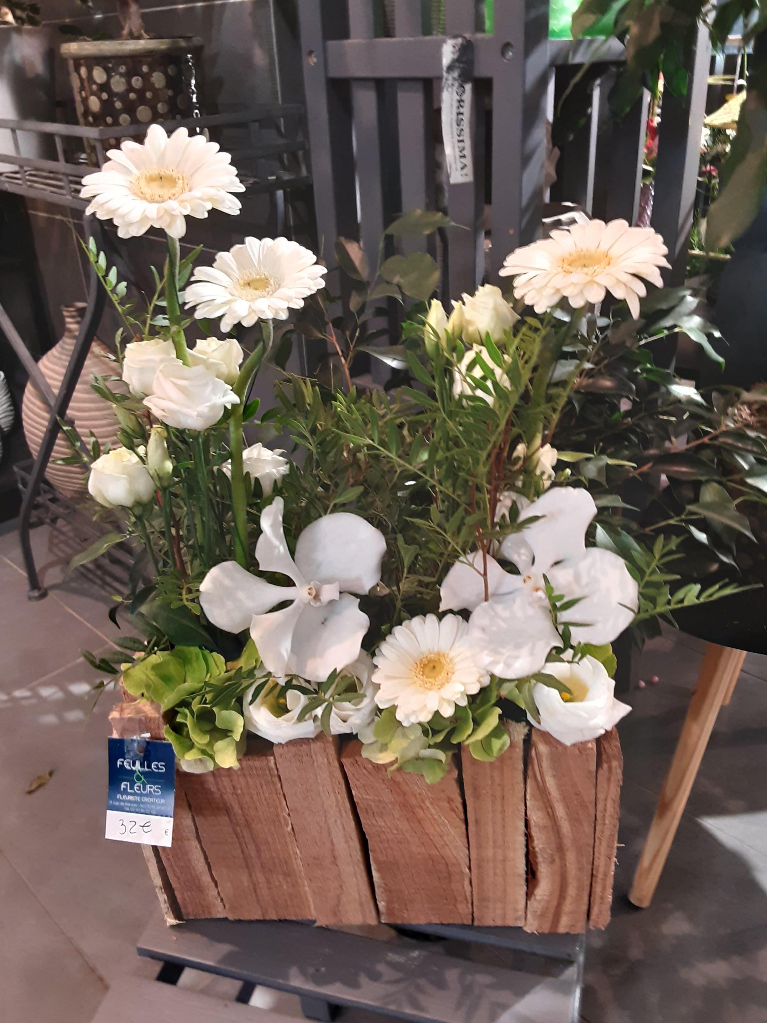 Blanc Nature à partir de 32€