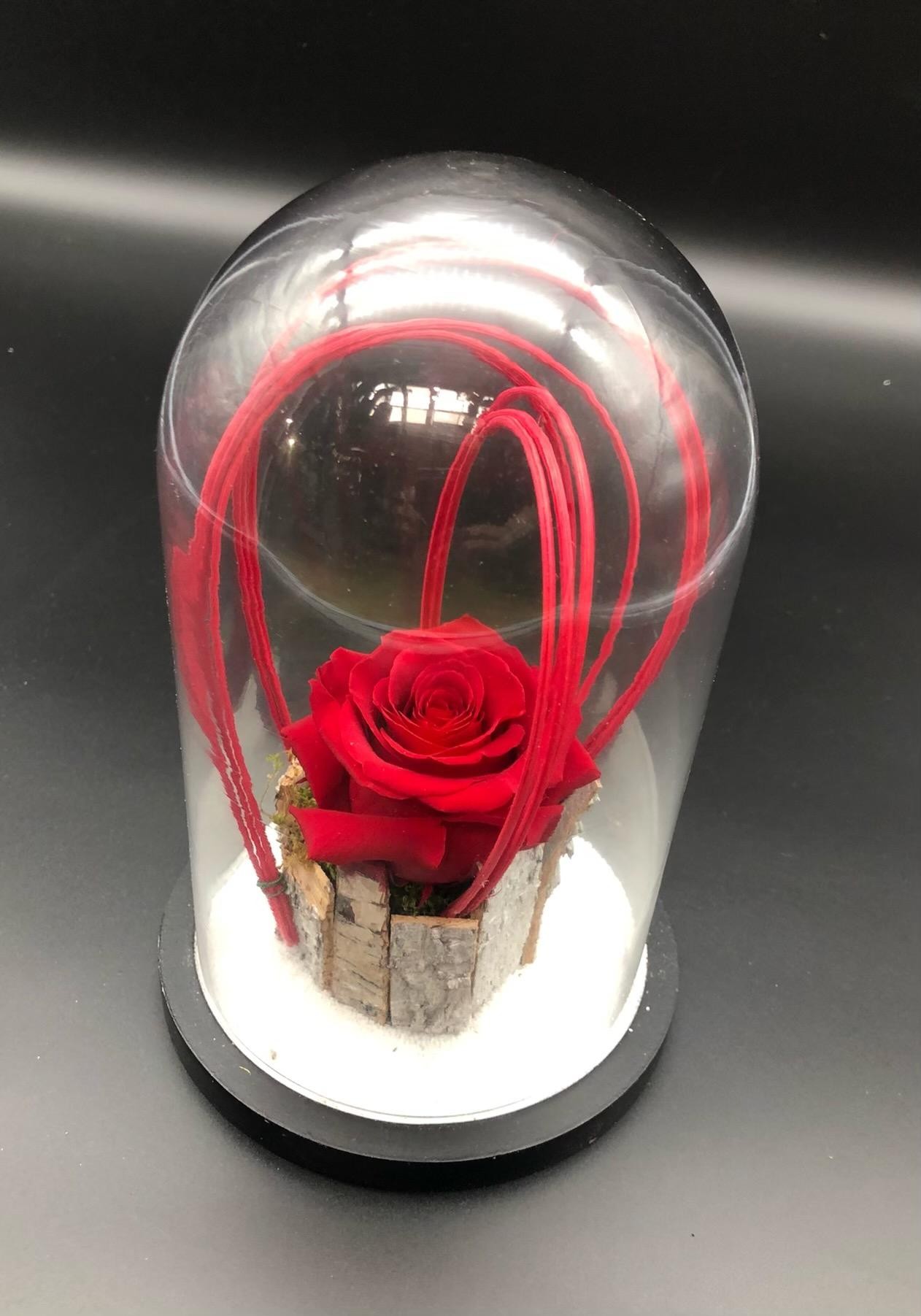 DECO ROSE ETERNELLE 30€