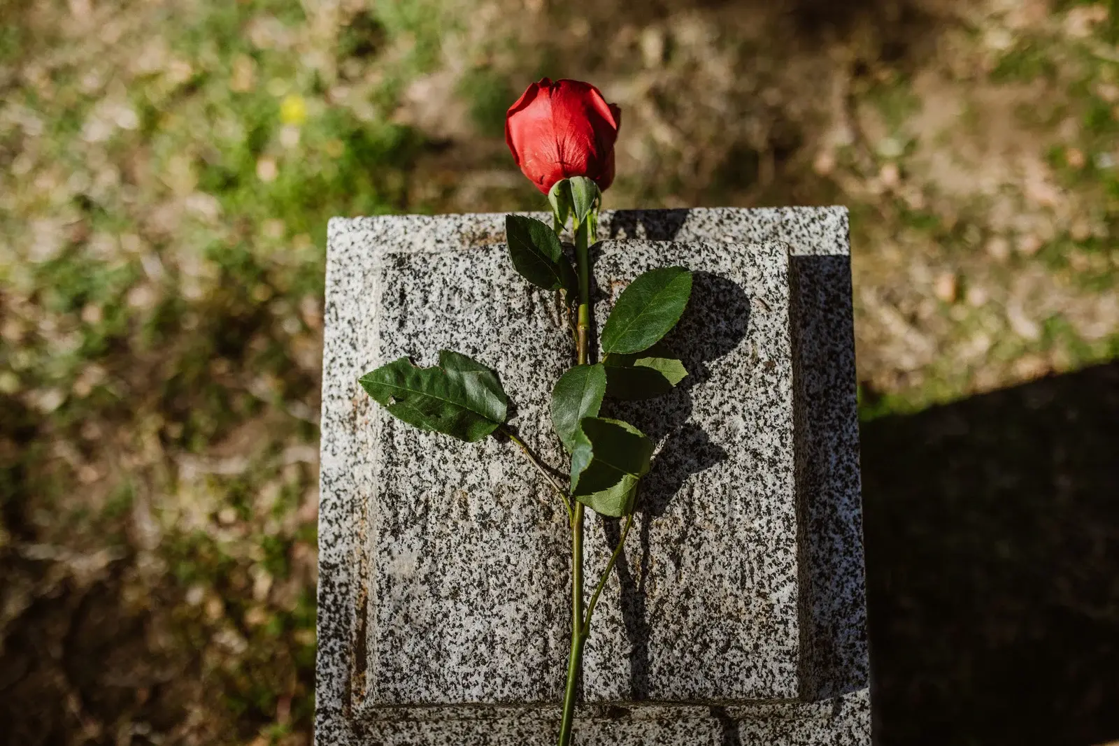 Abonnement sepulture