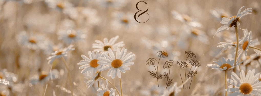 Feuilles&Fleurs