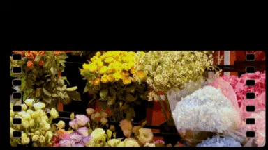 Feuilles&Fleurs